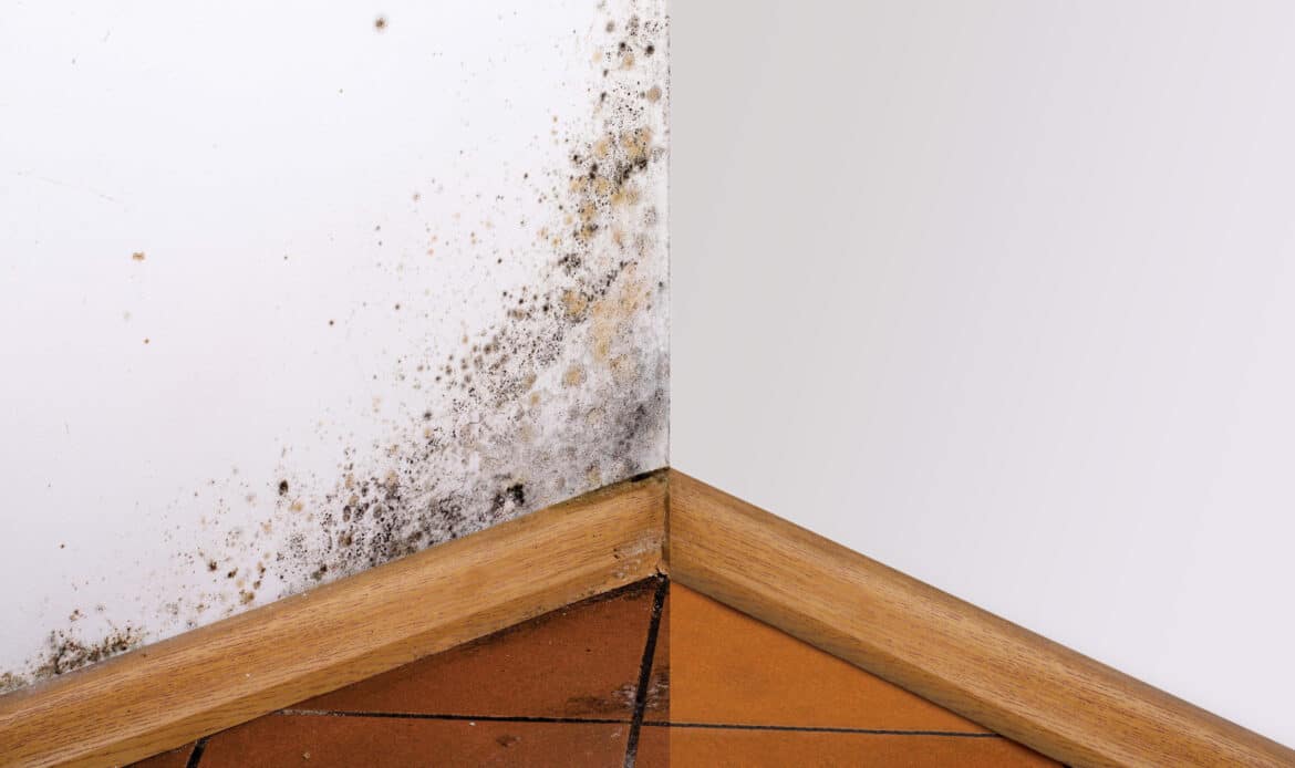 Prodotti per la pulizia